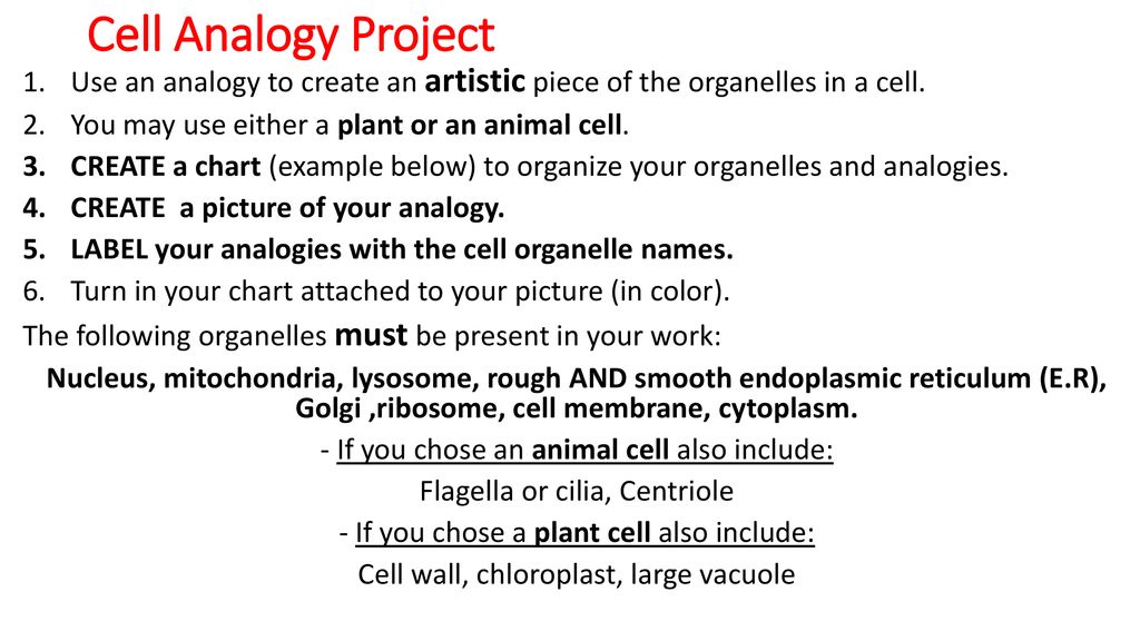 Cell Analogy Project Use an analogy to create an artistic piece of the organelles in a cell. You may use either a plant or an animal cell.