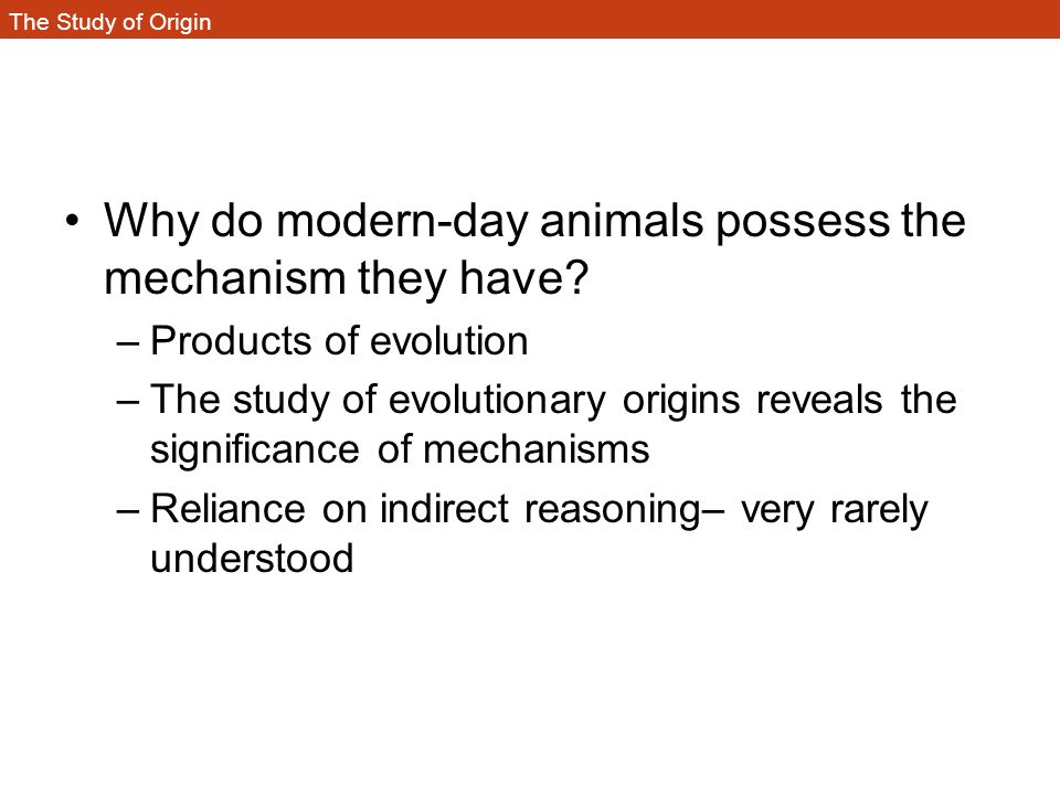 Why do modern-day animals possess the mechanism they have