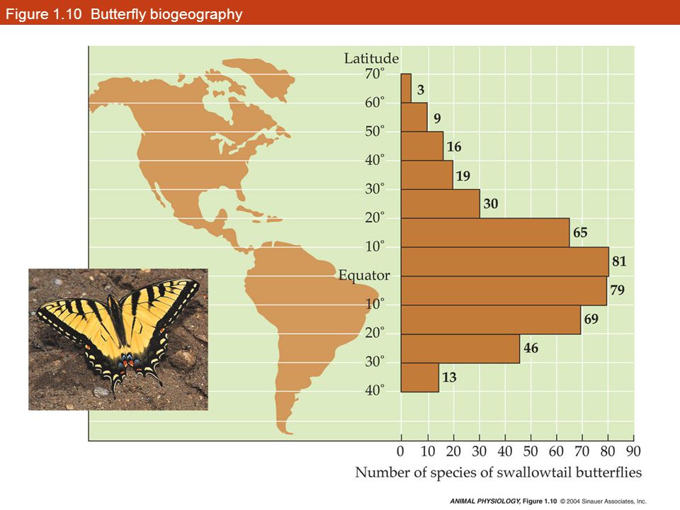 Figure 1.10 Butterfly biogeography