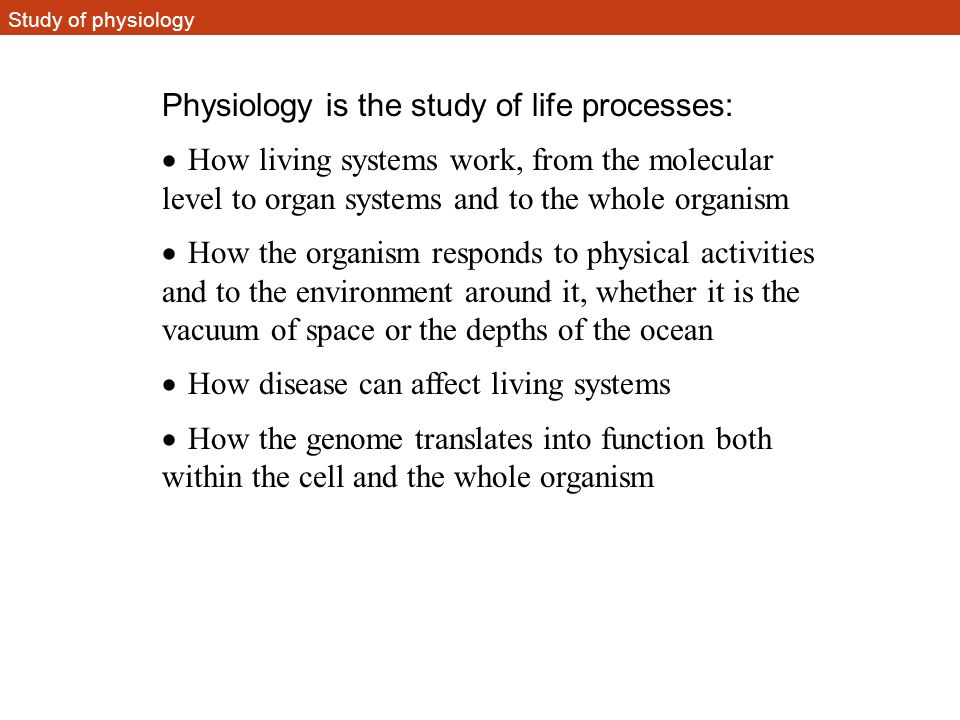 Animal Physiology Zool 4230 General objectives: - ppt video online download