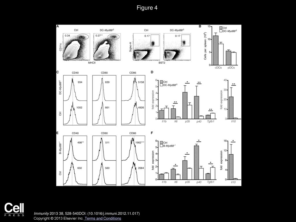 Figure 4 Inflammatory Cytokine Production by cDCs Is Regulated by DC- and B Cell-Intrinsic MyD88 Signaling.