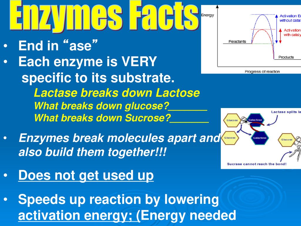 Biochemistry. ppt download