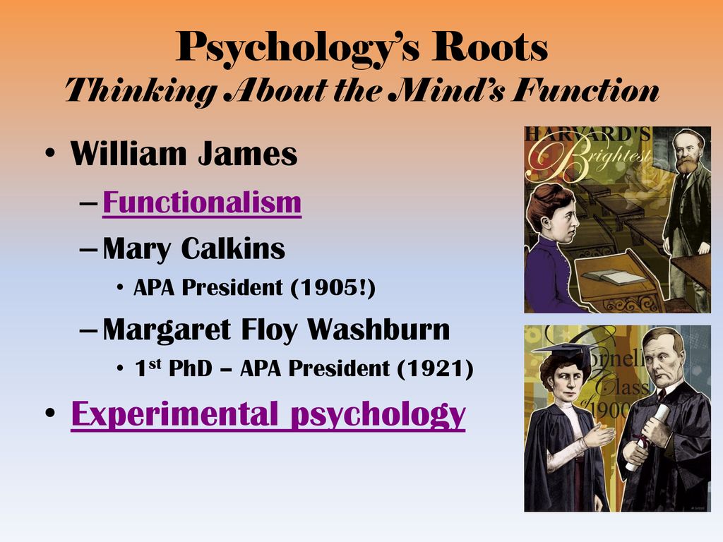 Psychology’s Roots Thinking About the Mind’s Function