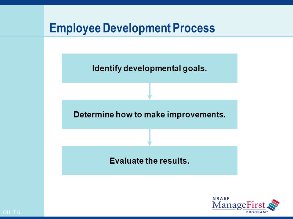 Employee Development Process