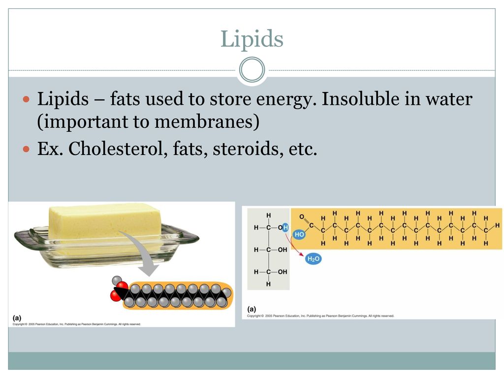 Lipids Lipids – fats used to store energy. Insoluble in water (important to membranes) Ex.