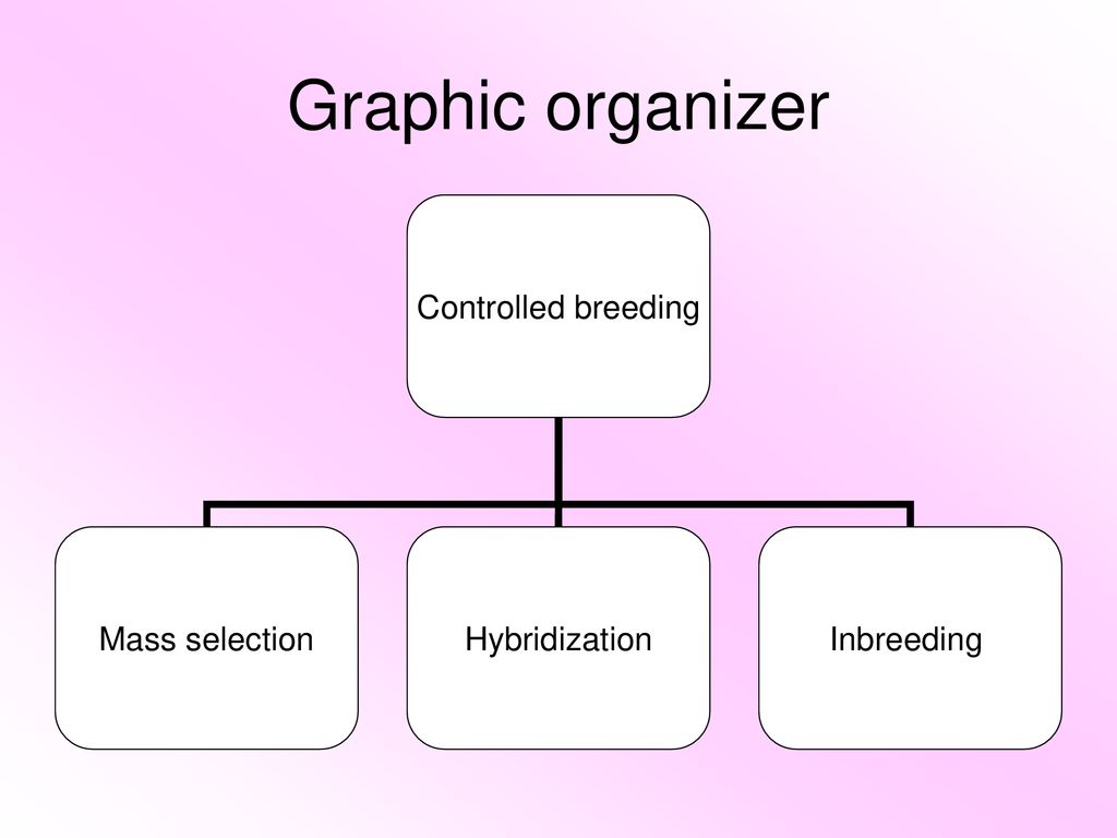 How Is Genetics Used To Improve Living Things Ppt Download