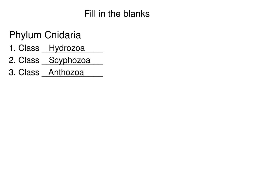 PORIFERA & CNIDARIA The answers will be shown when you click the mouse