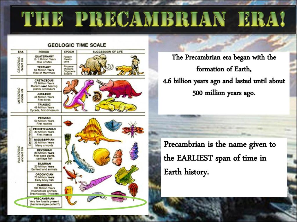 precambrian plants names