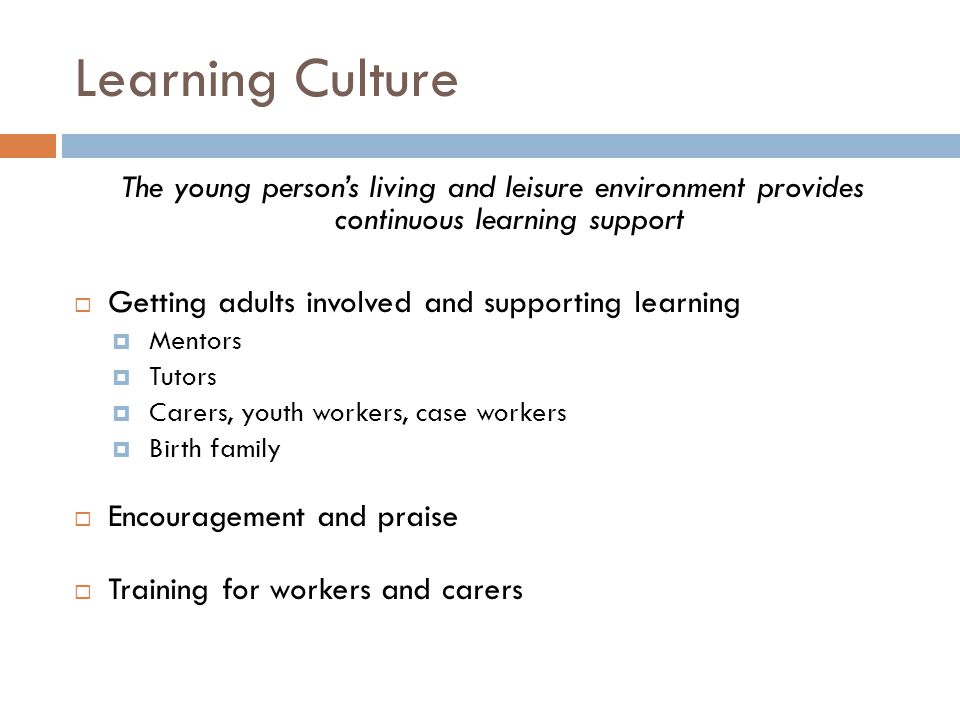 Learning Culture The young person’s living and leisure environment provides continuous learning support.
