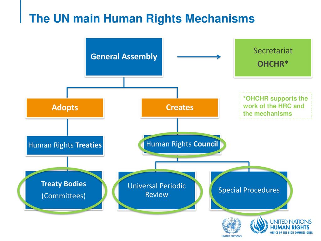 Функция connected. Un Human rights bodies. Un Human rights Treaty bodies. Un System. Main bodies United Nations.