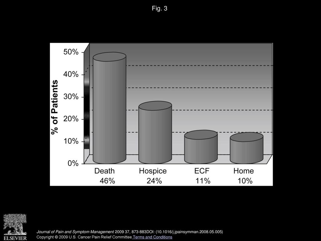 Fig. 3 PCCS discharge outcomes. The outcomes represent the advanced illnesses of the referred patients to the PCCS.