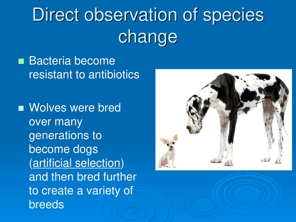 Direct observation of species change