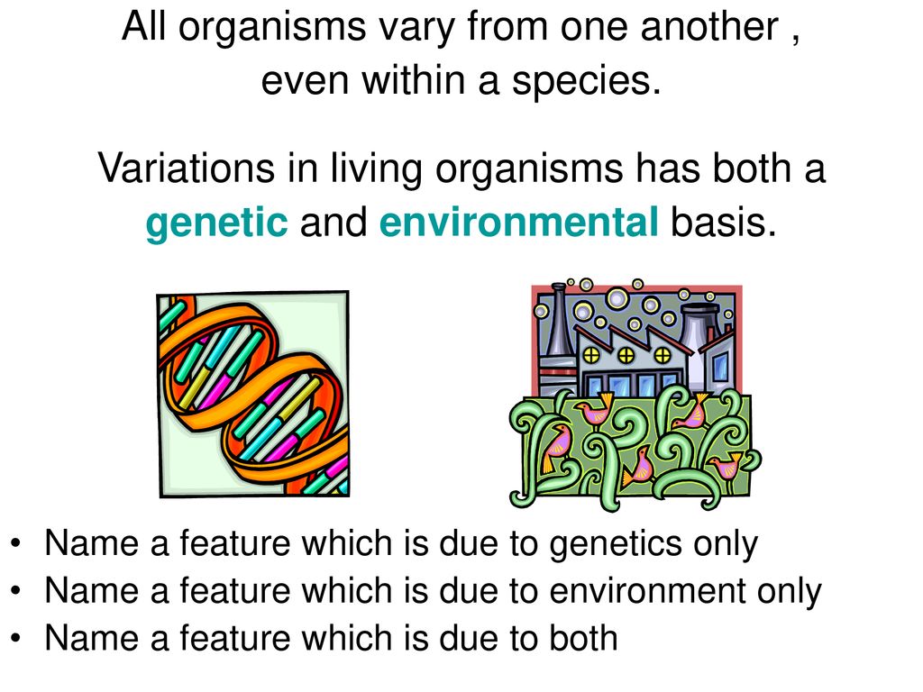 Variation and selection. ppt download