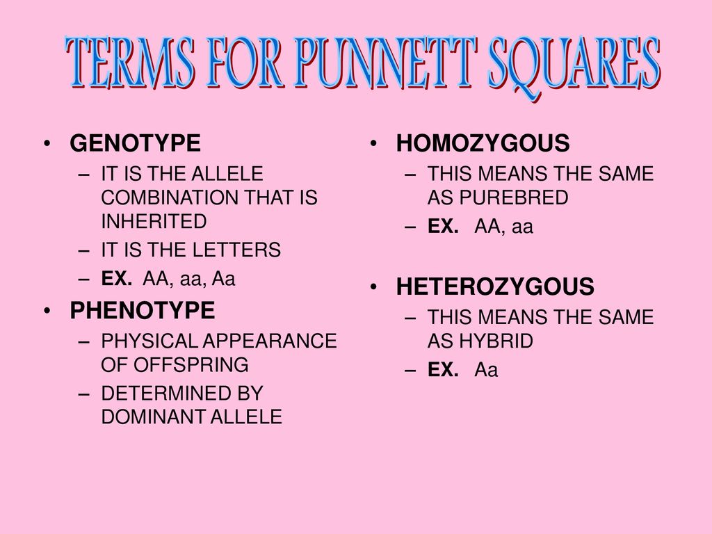 GENETICS CHP Ppt Download genetics-chp-ppt-download