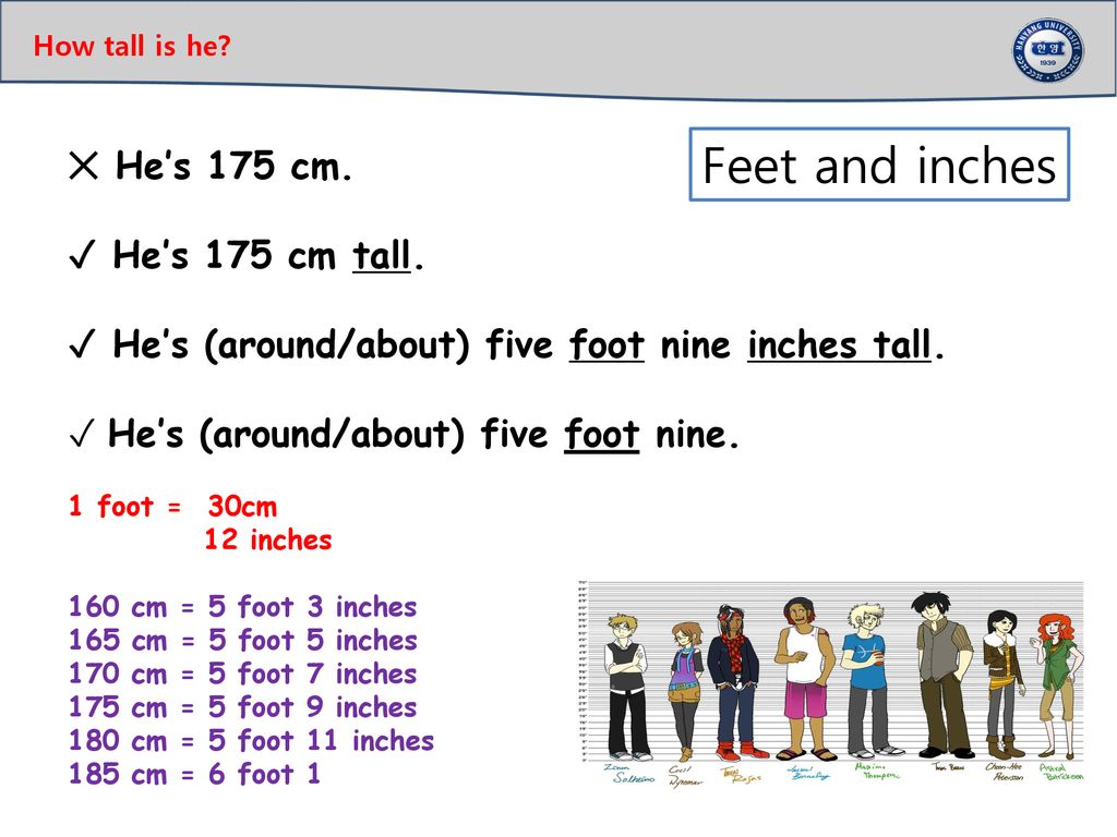 Feet and inches ✕ He’s 175 cm. ✓ He’s 175 cm tall. 