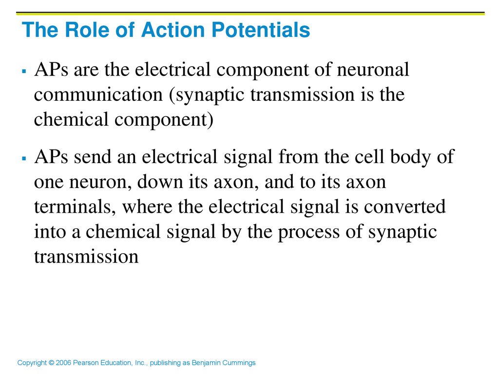 The Role of Action Potentials