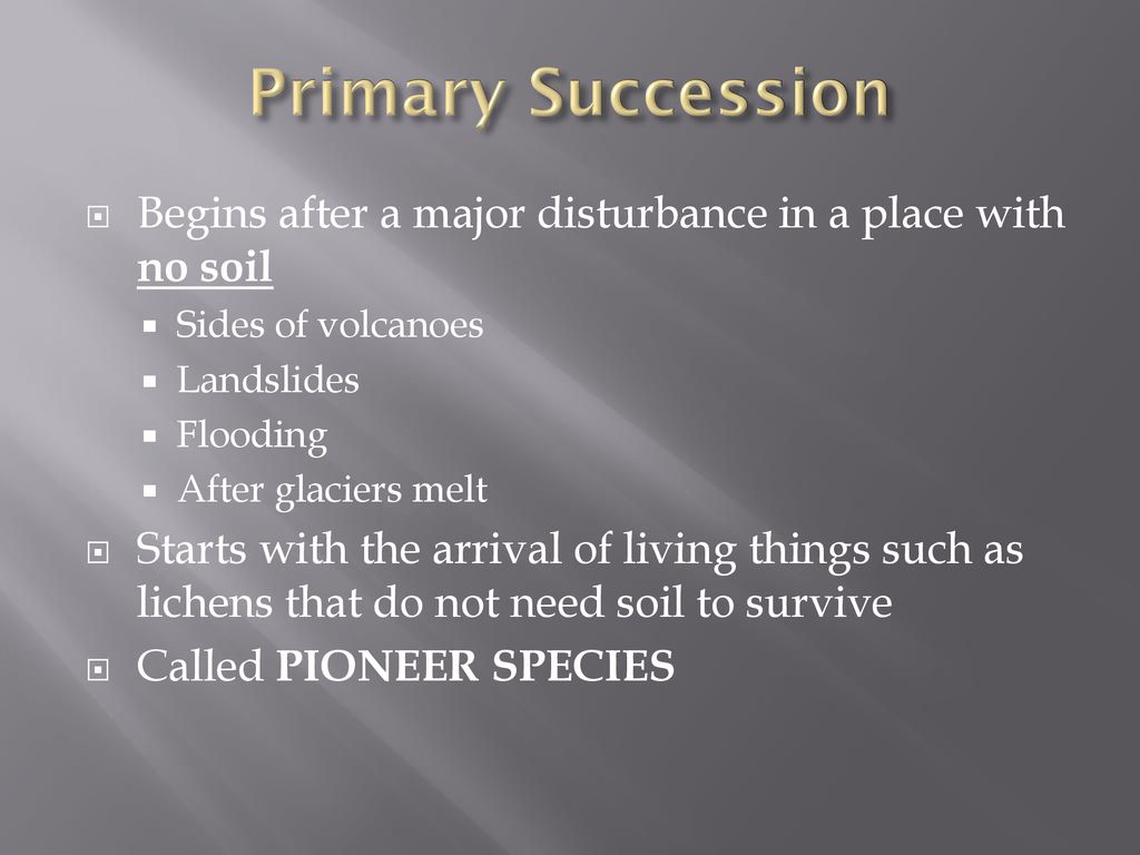 Changes in Ecosystems: Ecological Succession - ppt download