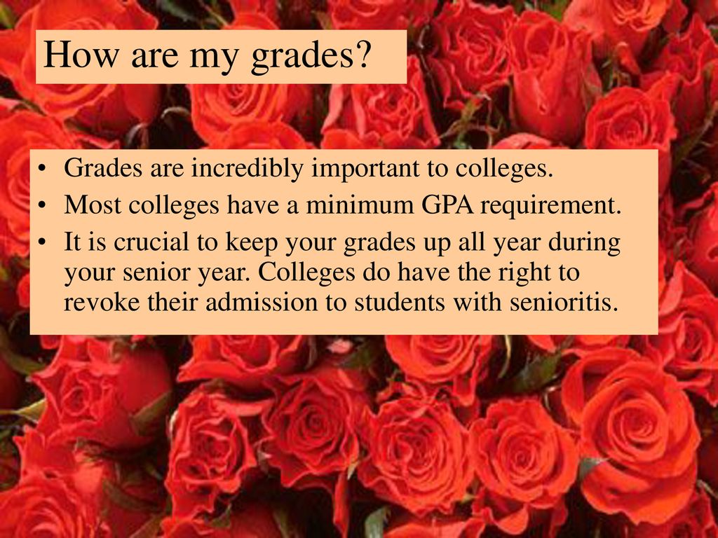 College Applications 101 Now That You Have Decided What Kind Of College college-applications-101-now-that-you-have-decided-what-kind-of-college