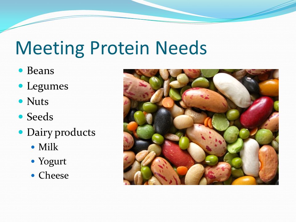 Meeting Protein Needs Beans Legumes Nuts Seeds Dairy products Milk