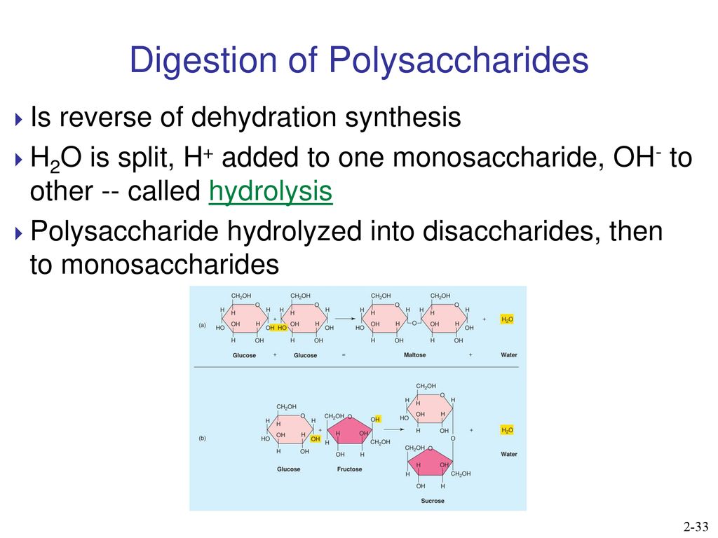Chapter 2 lecture outline with animations ppt download