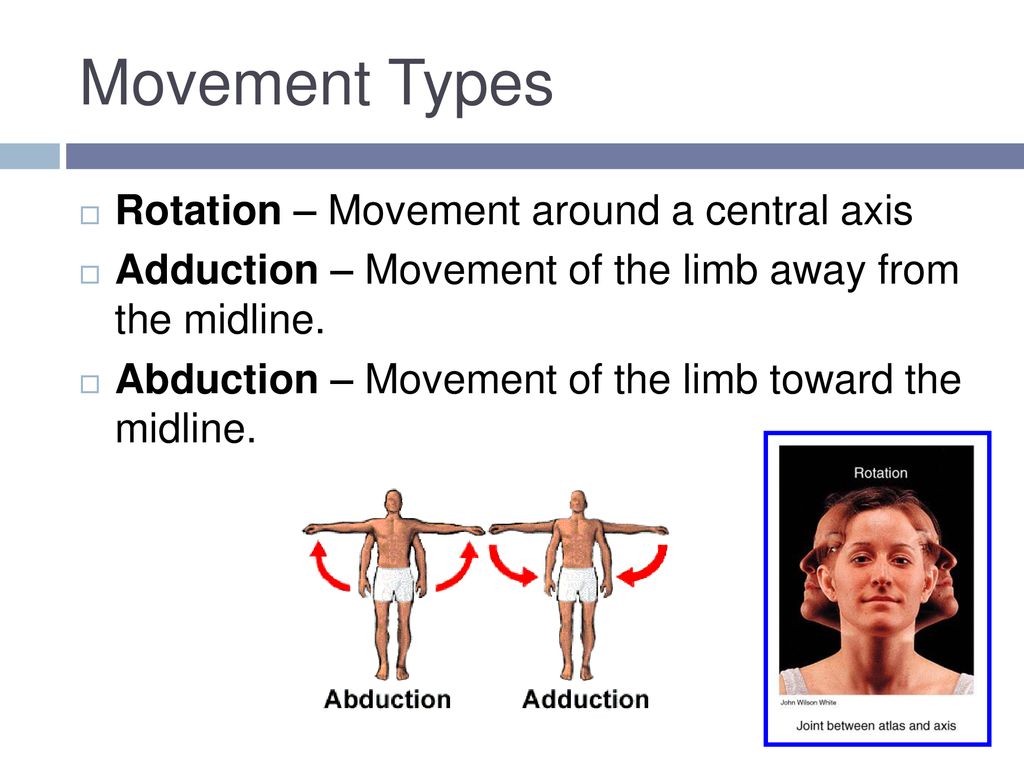 Joint structure and movement ppt download