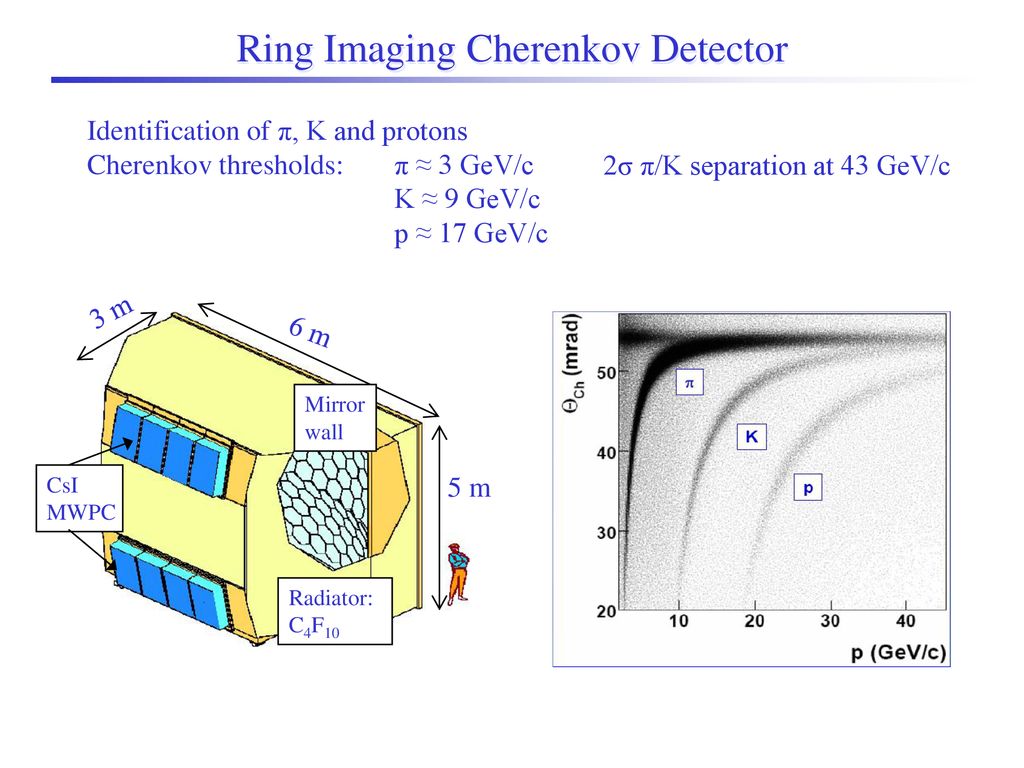 Ring Imaging Cherenkov Detector