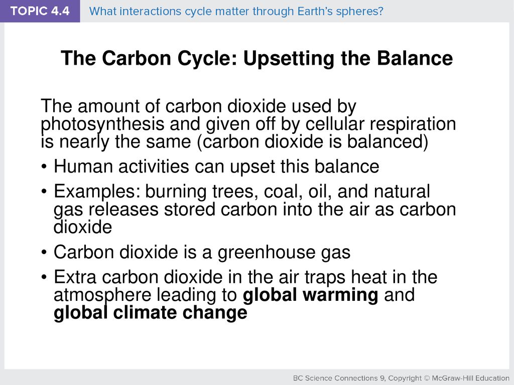 The Carbon Cycle: Upsetting the Balance