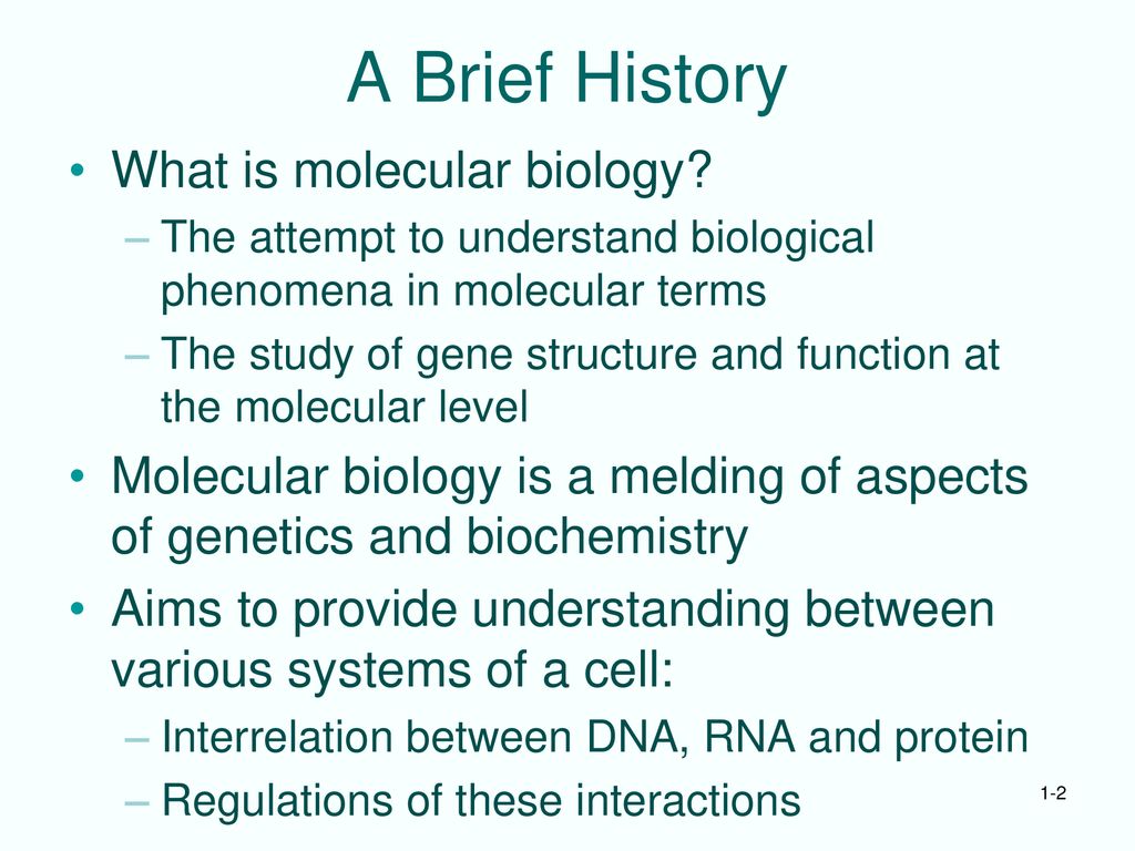 A Brief History What is molecular biology? - ppt download