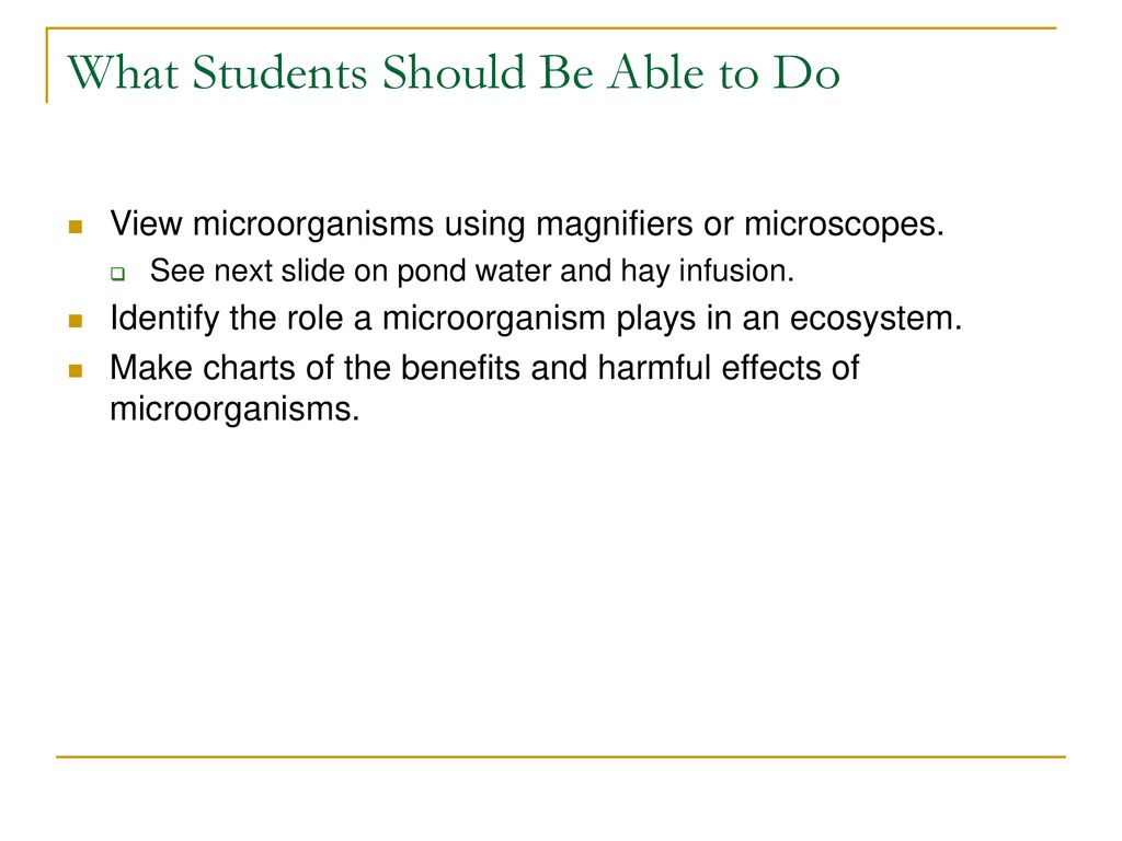 Pond Water Microorganisms Chart