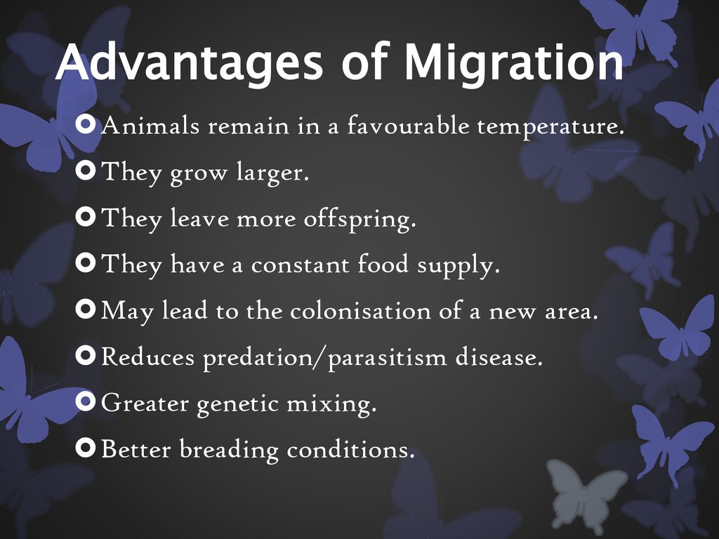 On the adaptive benefits of mammal migration