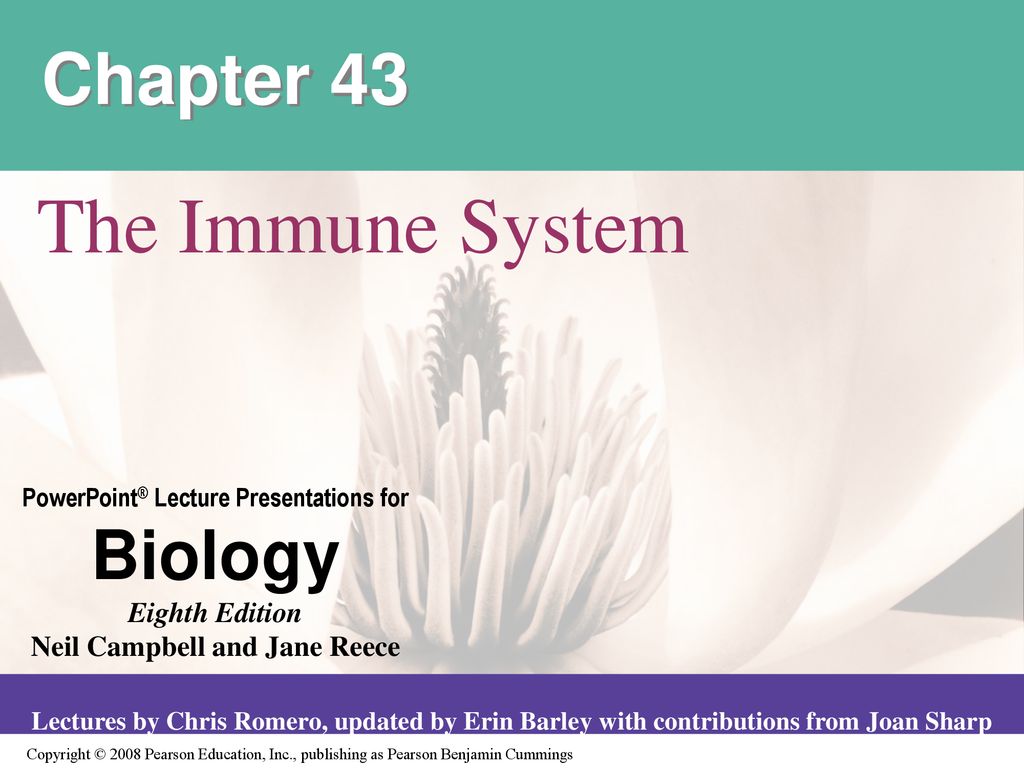 Chapter 43 The Immune System. - Ppt Download