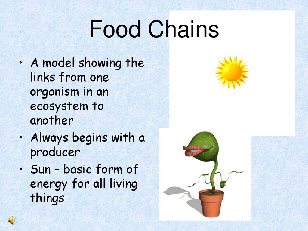 Ecology and our Ecosystems Biology Diagrams