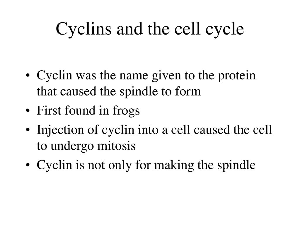 Control of the Cell Cycle Biology Diagrams