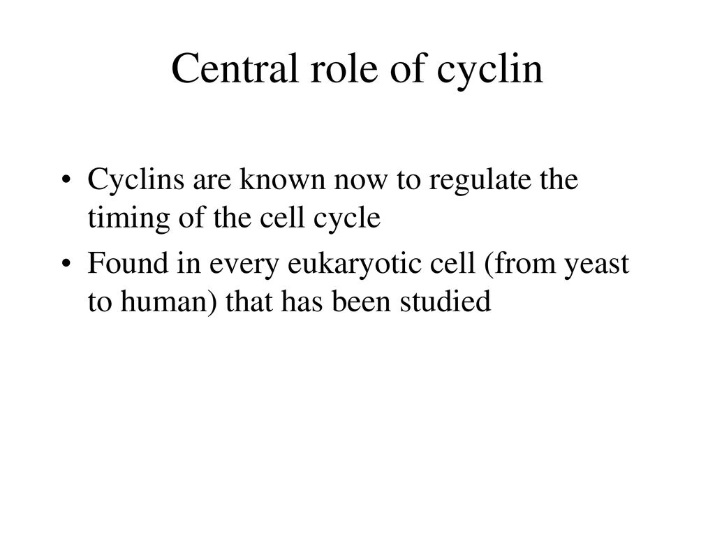 Control of the Cell Cycle Biology Diagrams