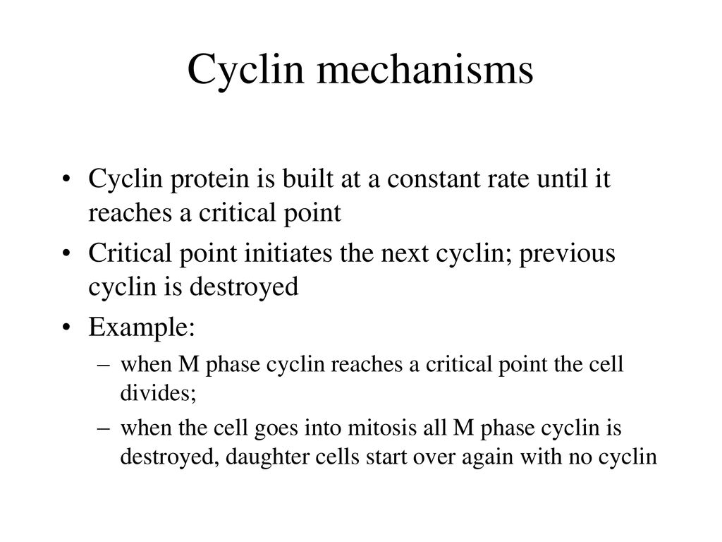 Control of the Cell Cycle Biology Diagrams
