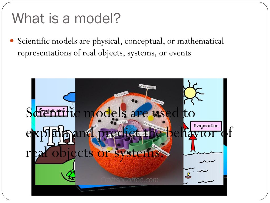 What is a model Scientific models are physical, conceptual, or mathematical representations of real objects, systems, or events.