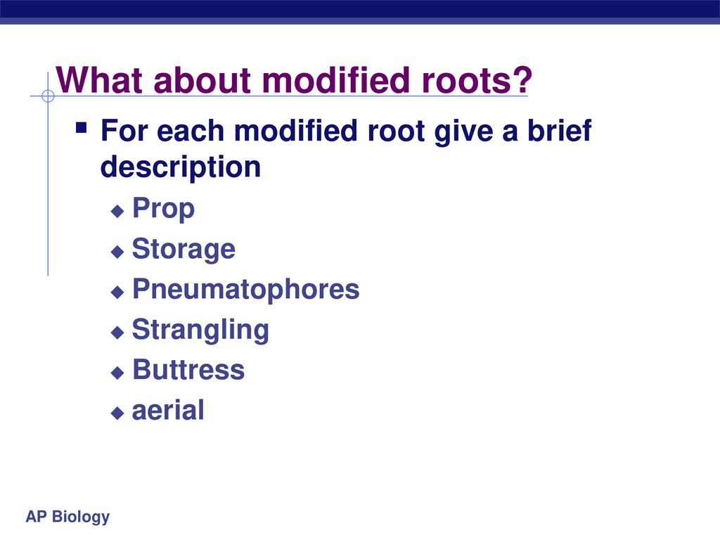 What about modified roots