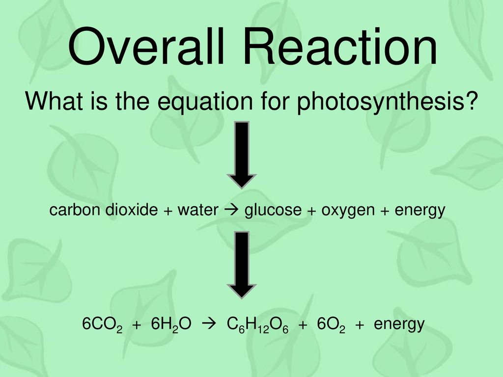 Overall Reaction What is the equation for photosynthesis