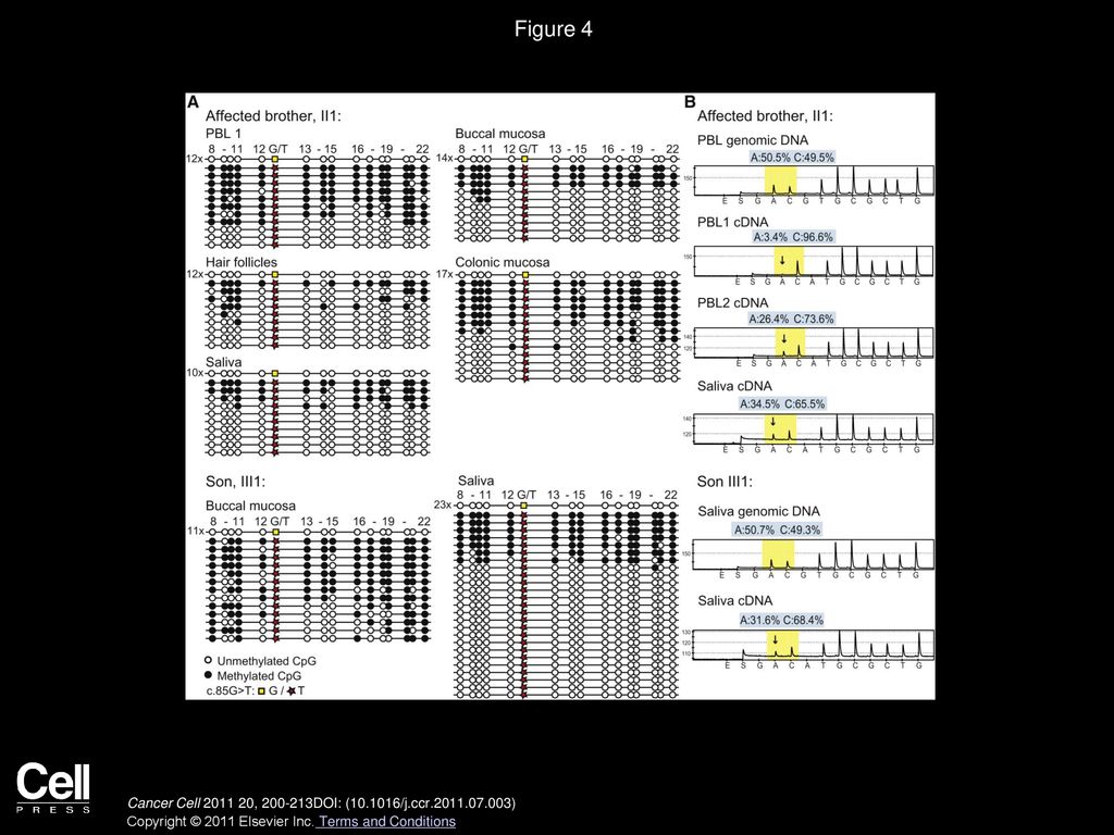 Volume 20 issue 2 pages august 2011 ppt download