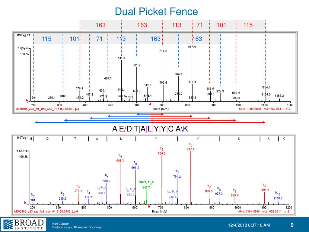 Manual De Novo Peptide Ms Ms Interpretation Ppt Download