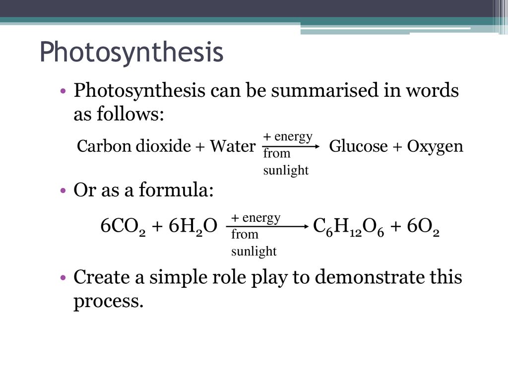 Primary Science Course Lecture 1 - ppt download