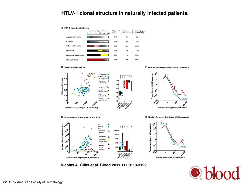 HTLV-1 clonal structure in naturally infected patients.