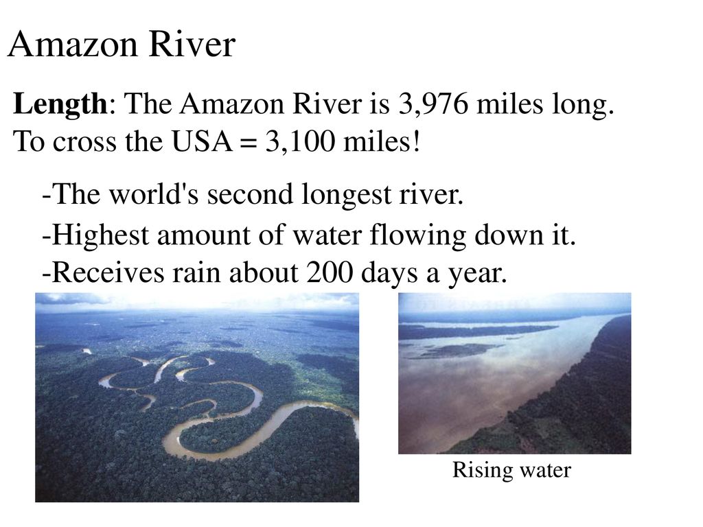 What Is The Length Of The Amazon
