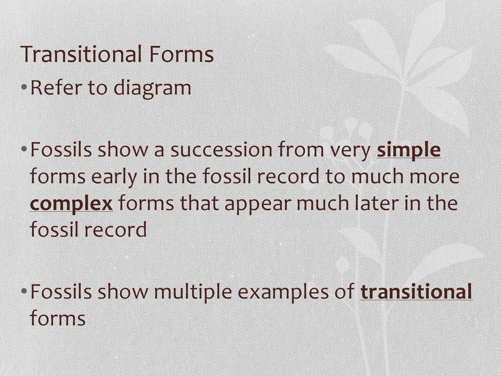Evidence for evolution ppt download