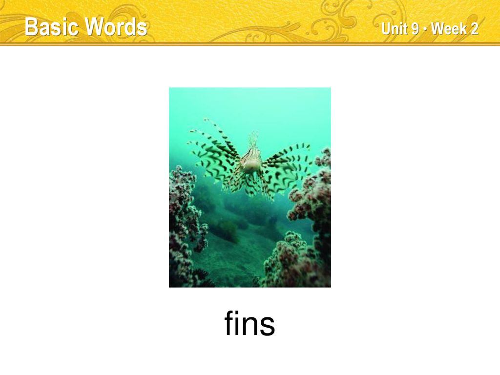 amazing Key Words Unit 9 Week 2 TEACHER TALK ppt download