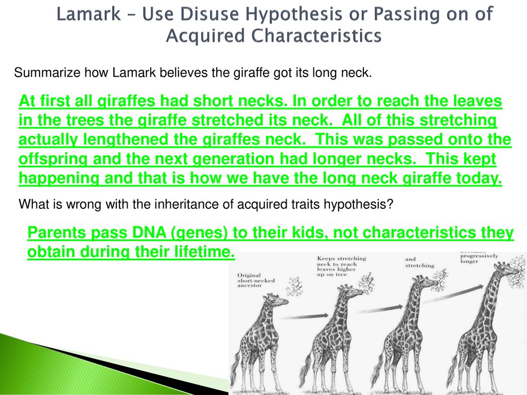 PACKET 9: Evolution. - ppt download