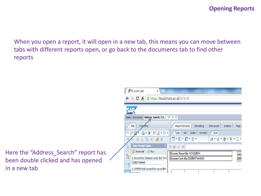 Opening Reports