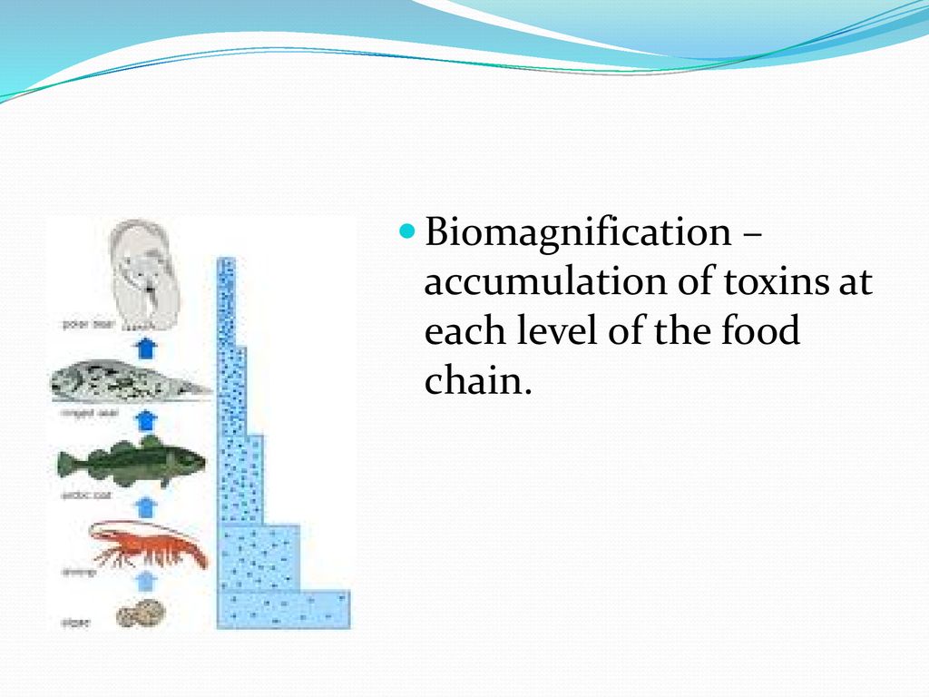Water A limited resource. Biology Diagrams