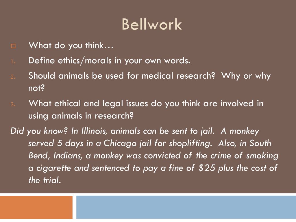 Bellwork What Do You Think Define Ethics morals In Your Own Words bellwork-what-do-you-think-define-ethics-morals-in-your-own-words