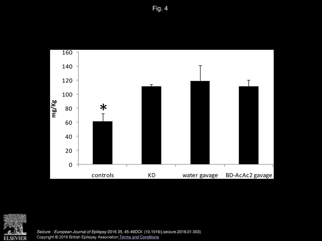 Different calorie restriction treatments have similar anti-seizure ...